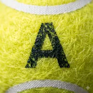 Aleko app icon